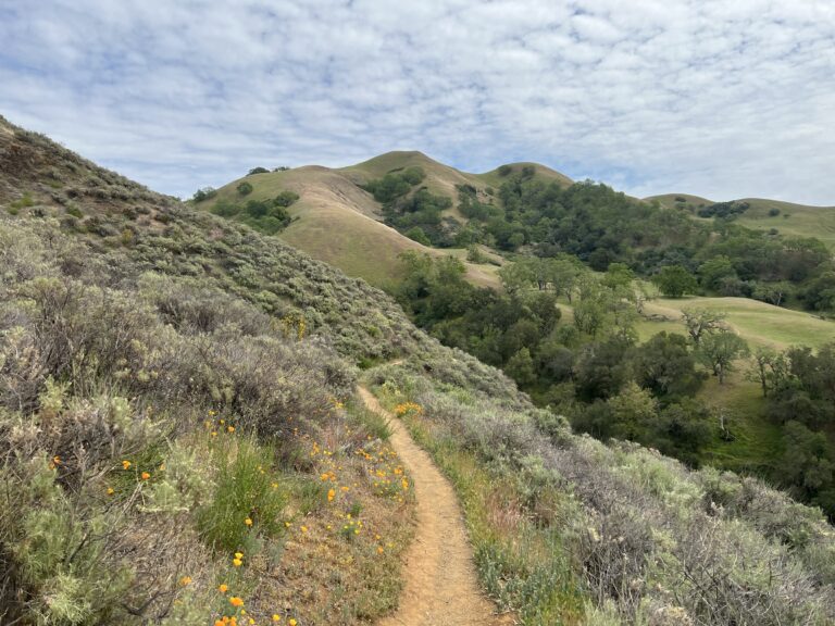 Our favourite path in the Sunol Wilderness in the East Bay